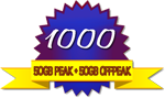 Hi Speed Internet 100